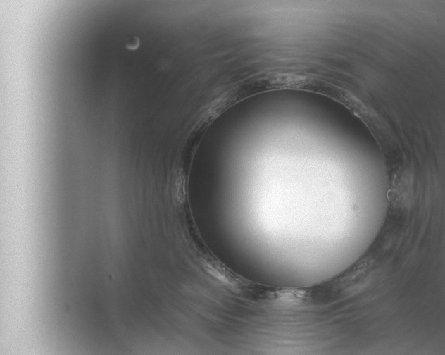 X0000072500474200607290110