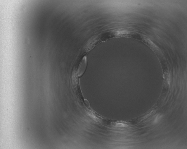 X0000072500475200607290110