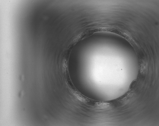 X0000072500476200607290110