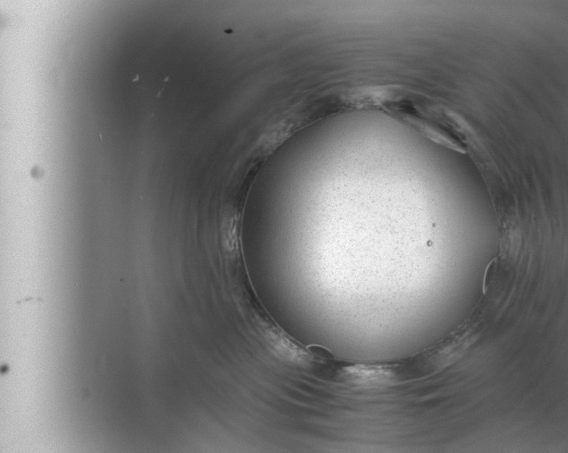 X0000072500477200607290110