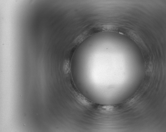 X0000072500478200607290110