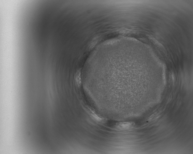 X0000072500479200607290110