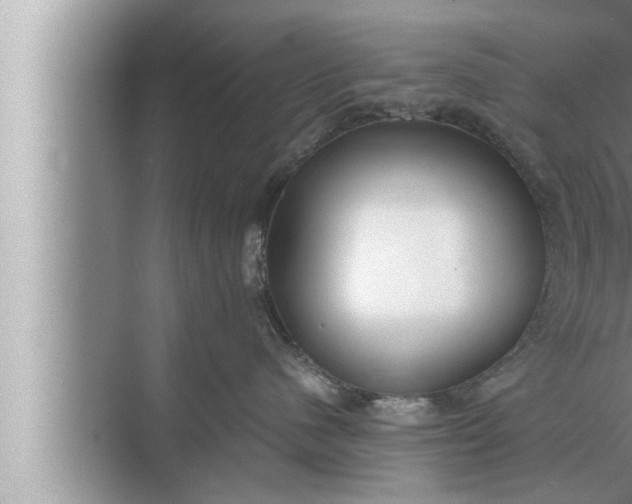 X0000072500480200607290110