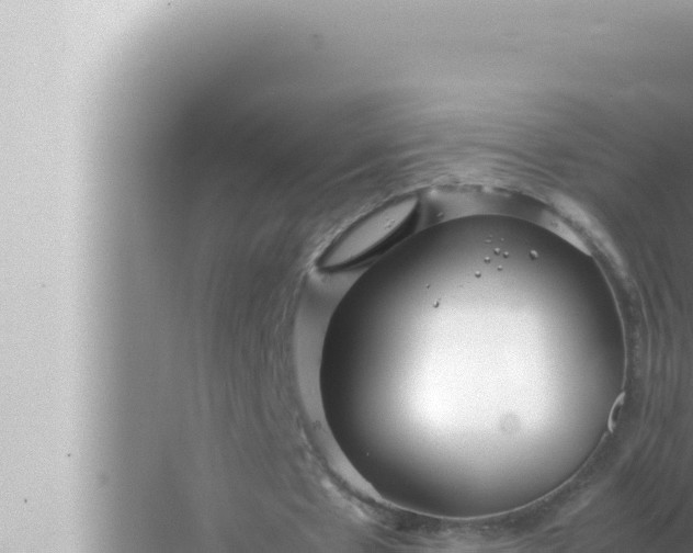 X0000072500481200607290109