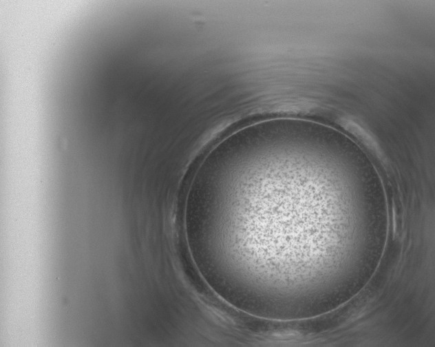 X0000072500483200607290109