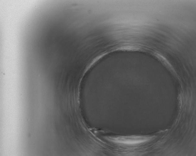 X0000072500484200607290109