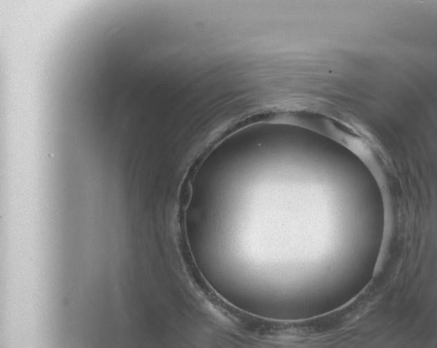 X0000072500485200607290109