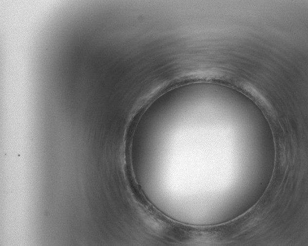 X0000072500486200607290109