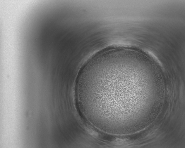 X0000072500487200607290109