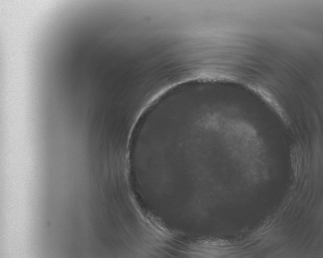 X0000072500488200607290109