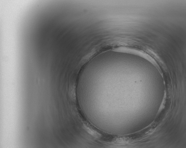 X0000072500489200607290109