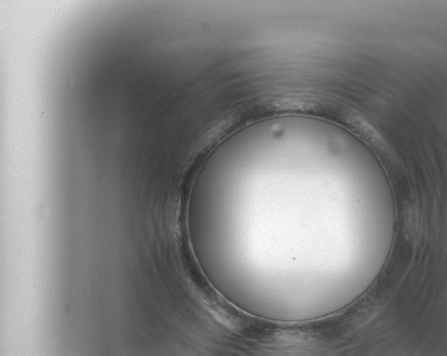 X0000072500490200607290109