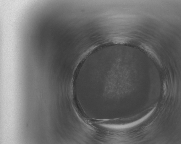 X0000072500492200607290109