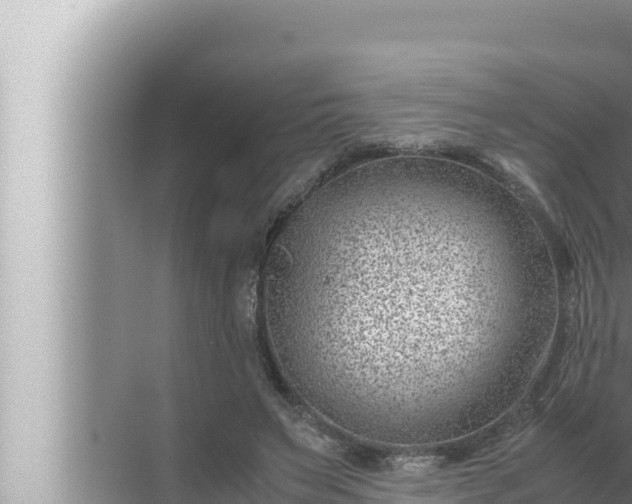 X0000072500495200607290109