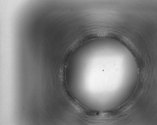 X0000072500497200607290109