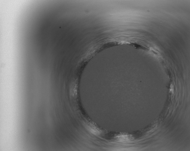 X0000072500499200607290109