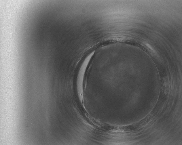 X0000072500500200607290109