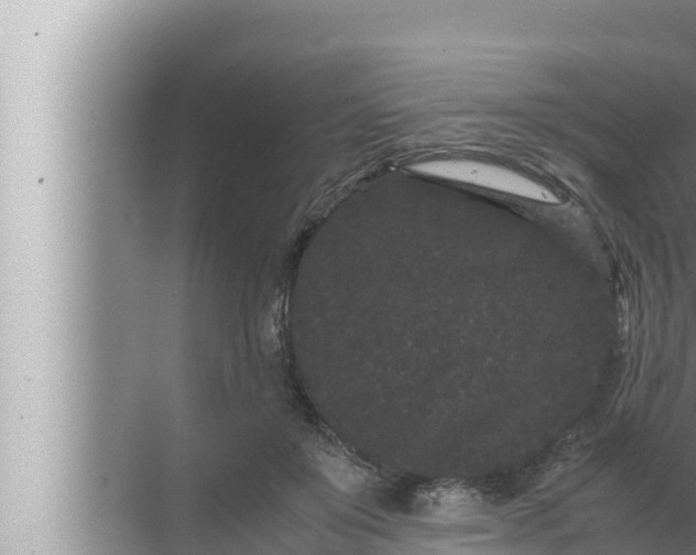 X0000072500503200607290109