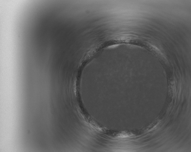 X0000072500504200607290109