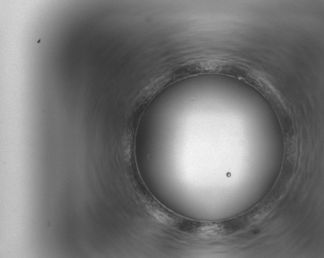 X0000072500505200607290109