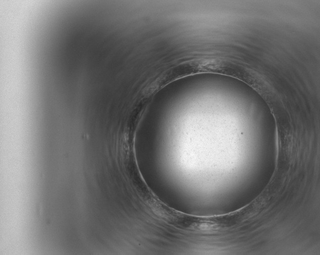 X0000072500506200607290109