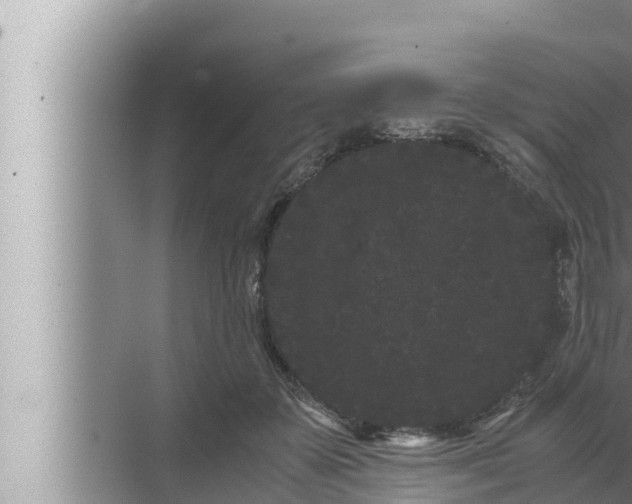 X0000072500507200607290109