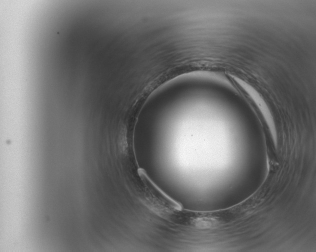 X0000072500508200607290109