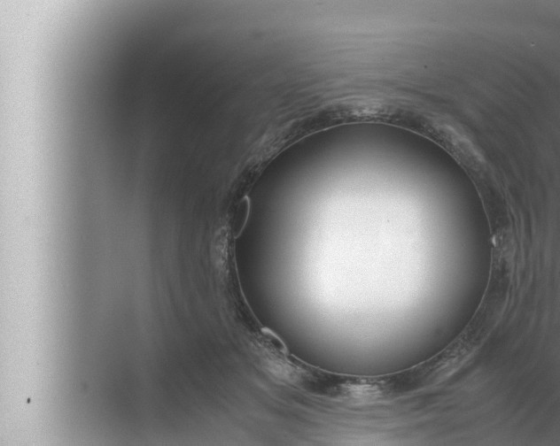 X0000072500509200607290109