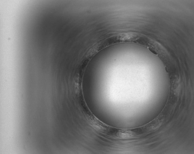 X0000072500510200607290109