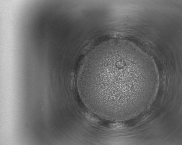 X0000072500511200607290109