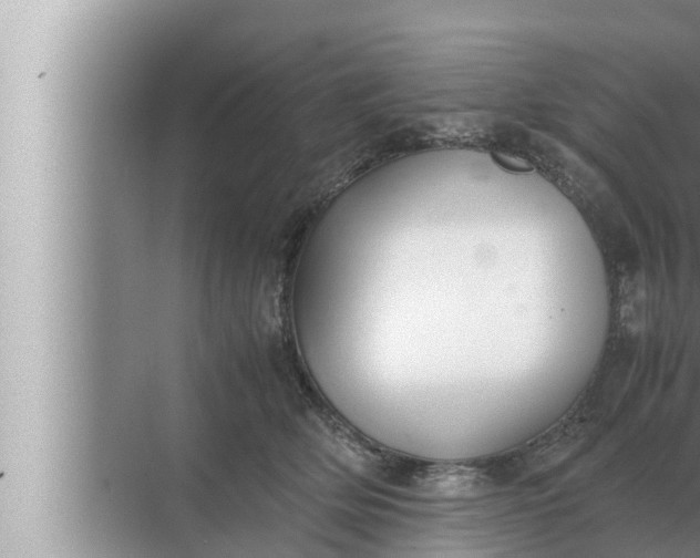 X0000072500514200607290109