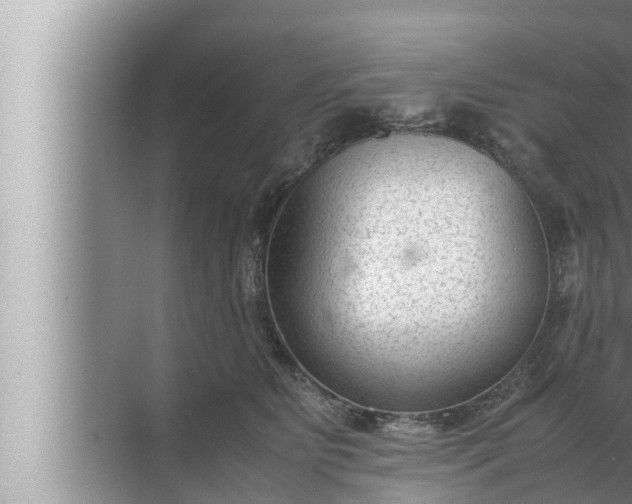 X0000072500515200607290109