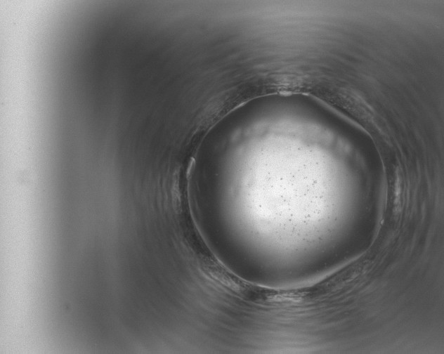 X0000072500516200607290109