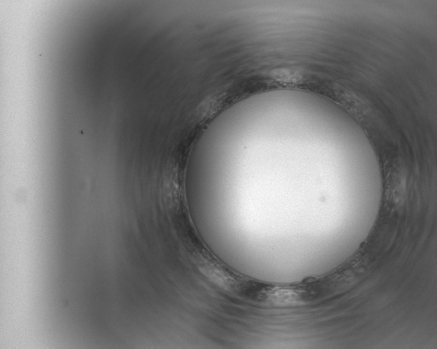 X0000072500518200607290109