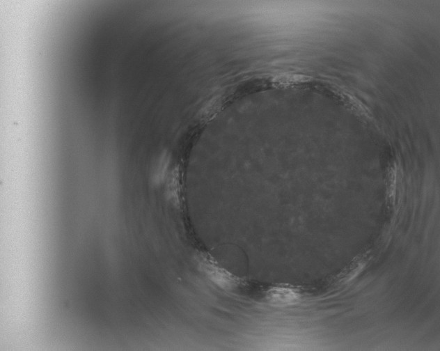 X0000072500519200607290109