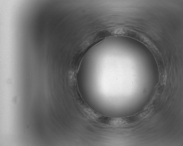 X0000072500521200607290109