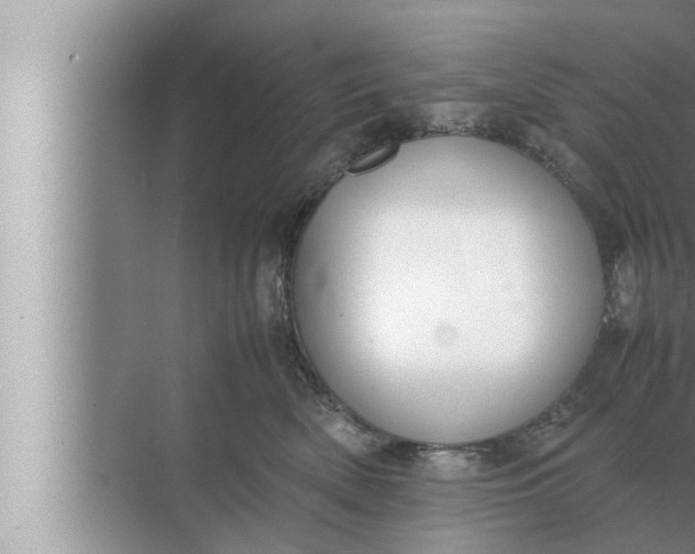 X0000072500522200607290109