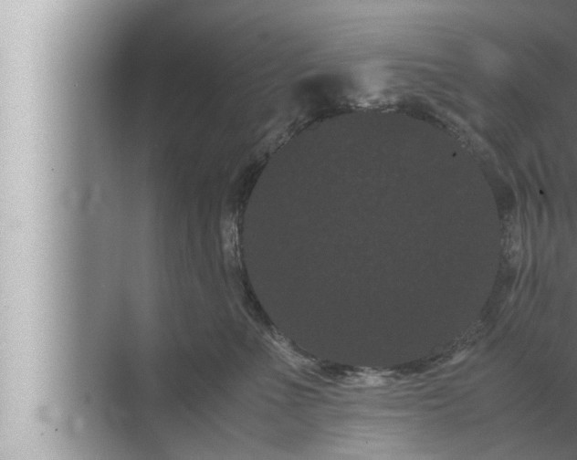 X0000072500523200607290109