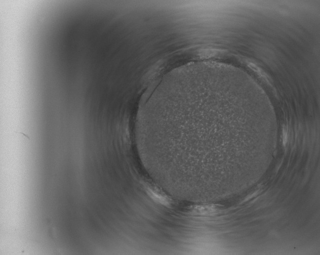 X0000072500524200607290109