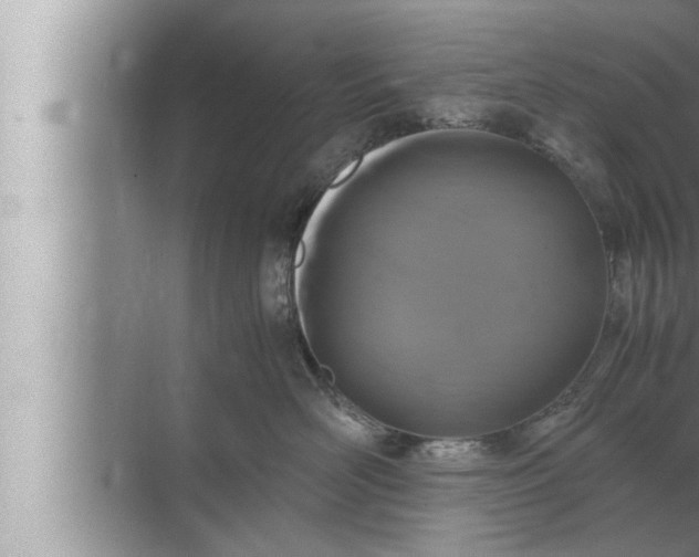 X0000072500526200607290109