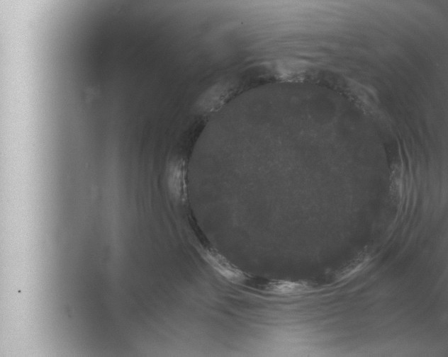 X0000072500527200607290109