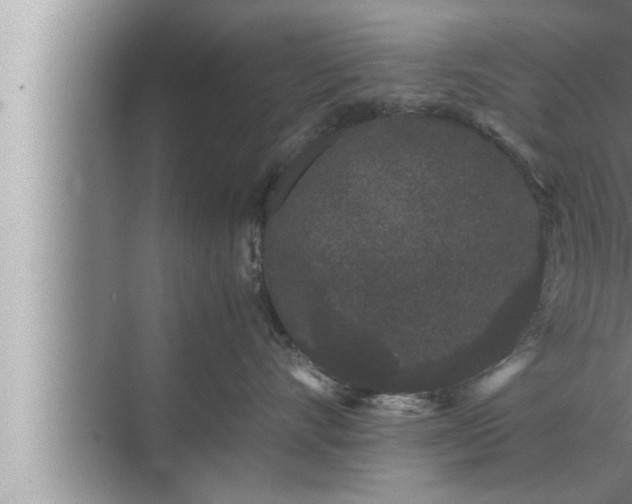 X0000072500528200607290109