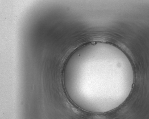 X0000072500529200607290108