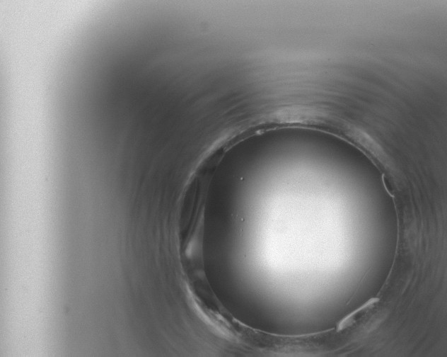 X0000072500530200607290108