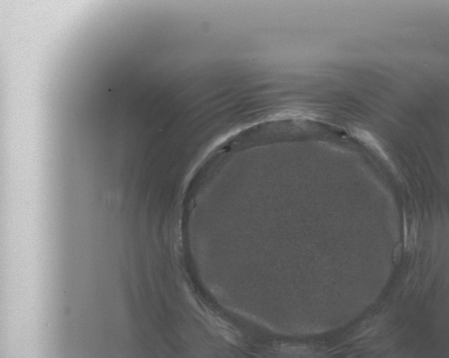 X0000072500531200607290108