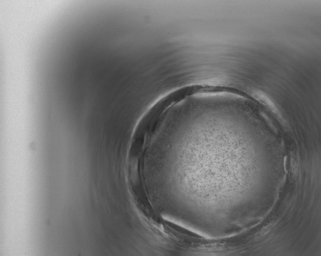 X0000072500532200607290108