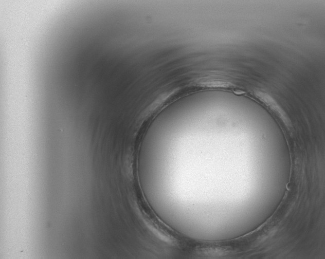 X0000072500533200607290108