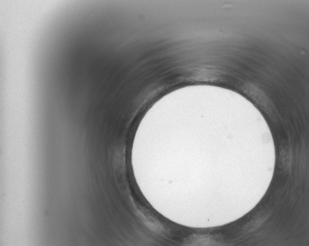 X0000072500534200607290108