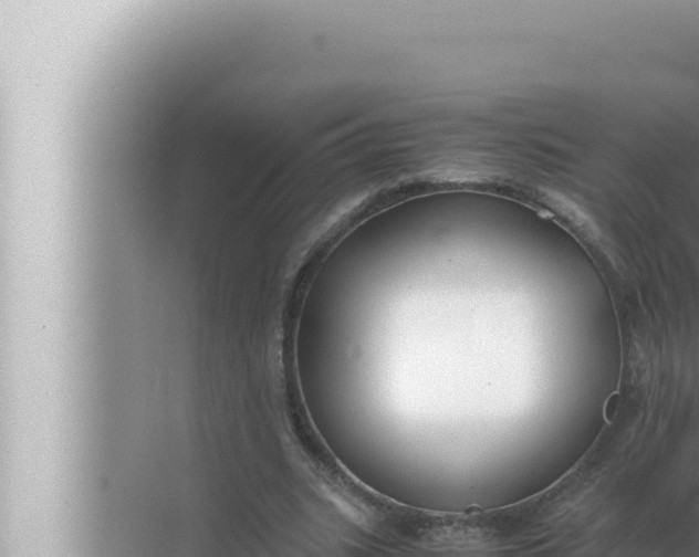 X0000072500535200607290108