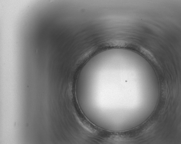 X0000072500538200607290108